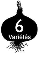 <span class="light">5</span> légumes et 1 aromate chaque semaine