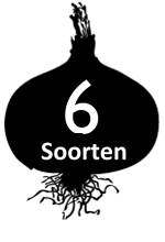 <span class="light">Ten</span> minst 6 soorten groeten en aromaten